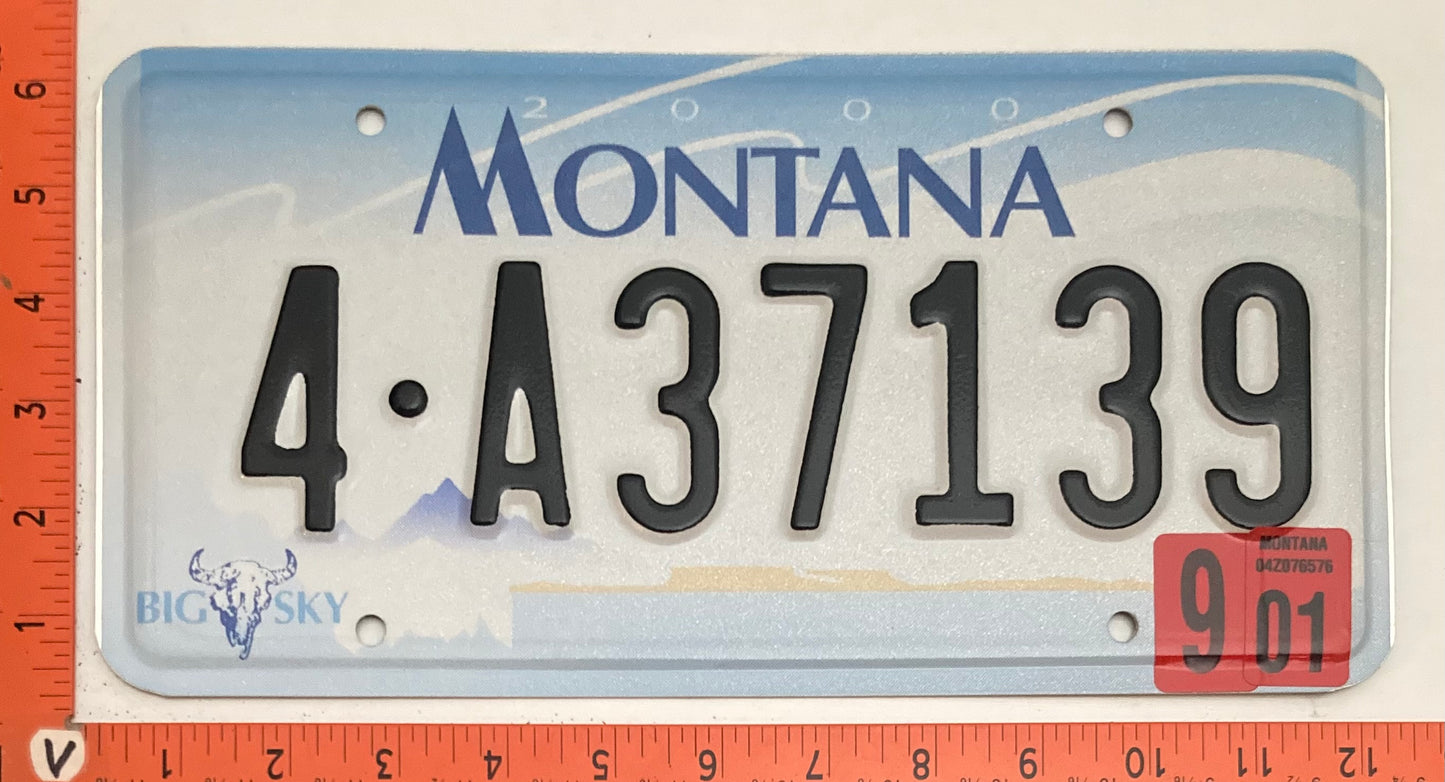 2001 Montana #4-A37139 Passenger License Plate