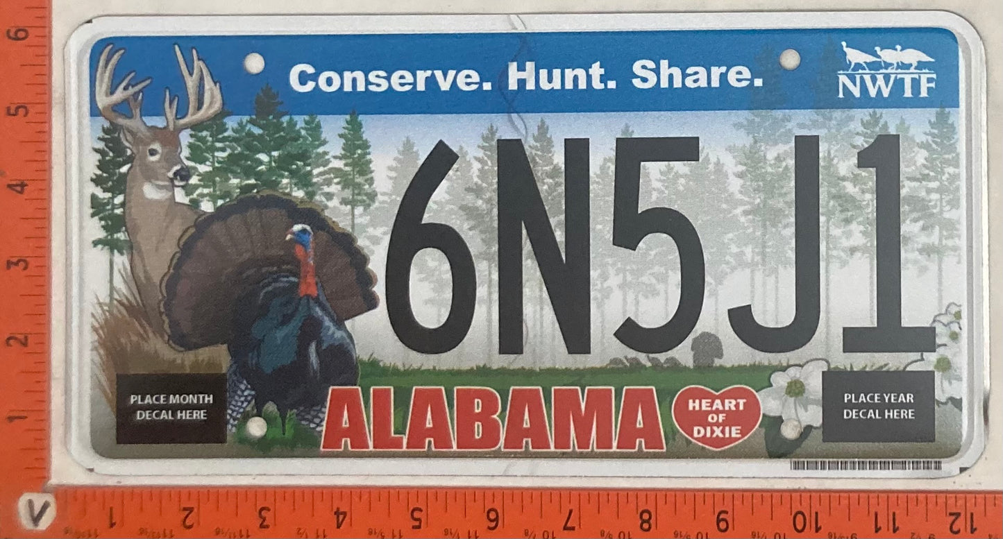 Undated Alabama #6N5J1 Passenger License Plate