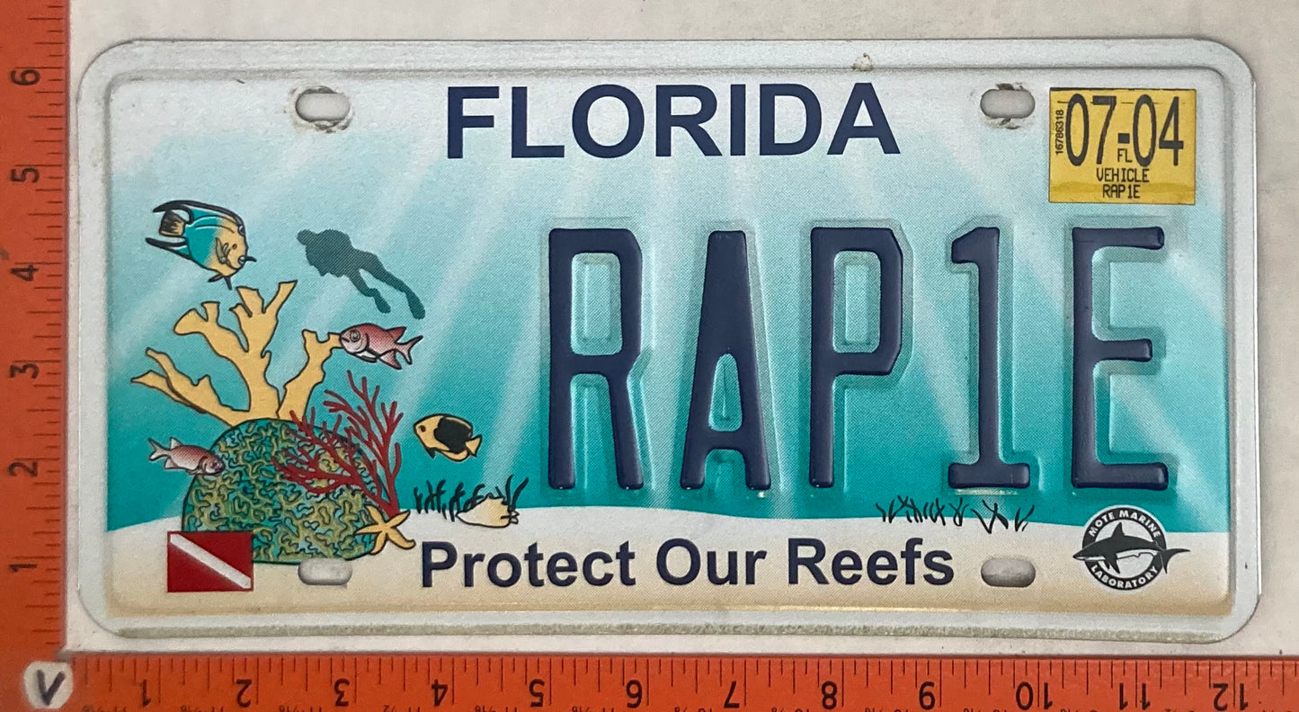 2004 Florida #RAP1E Passenger License Plate