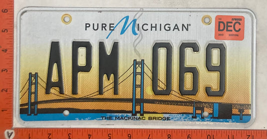 2015 Michigan #APM 069 Passenger License Plate