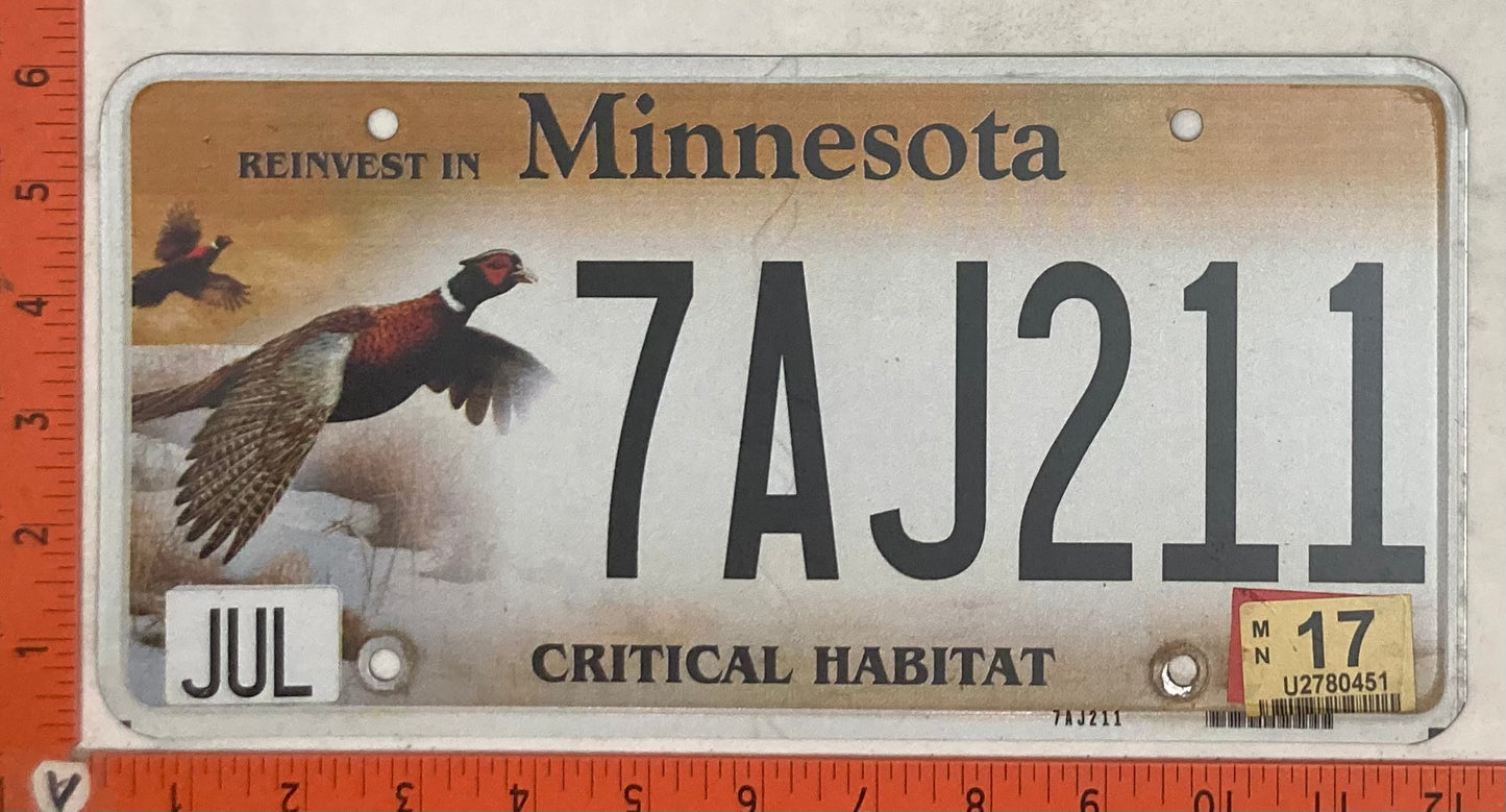 2017 Minnesota #7AJ211 Passenger License Plate