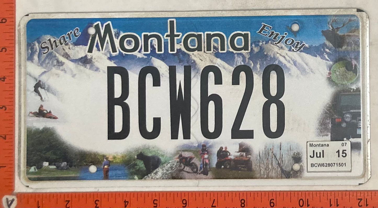 2015 Montana #BCW628 Passenger License Plate