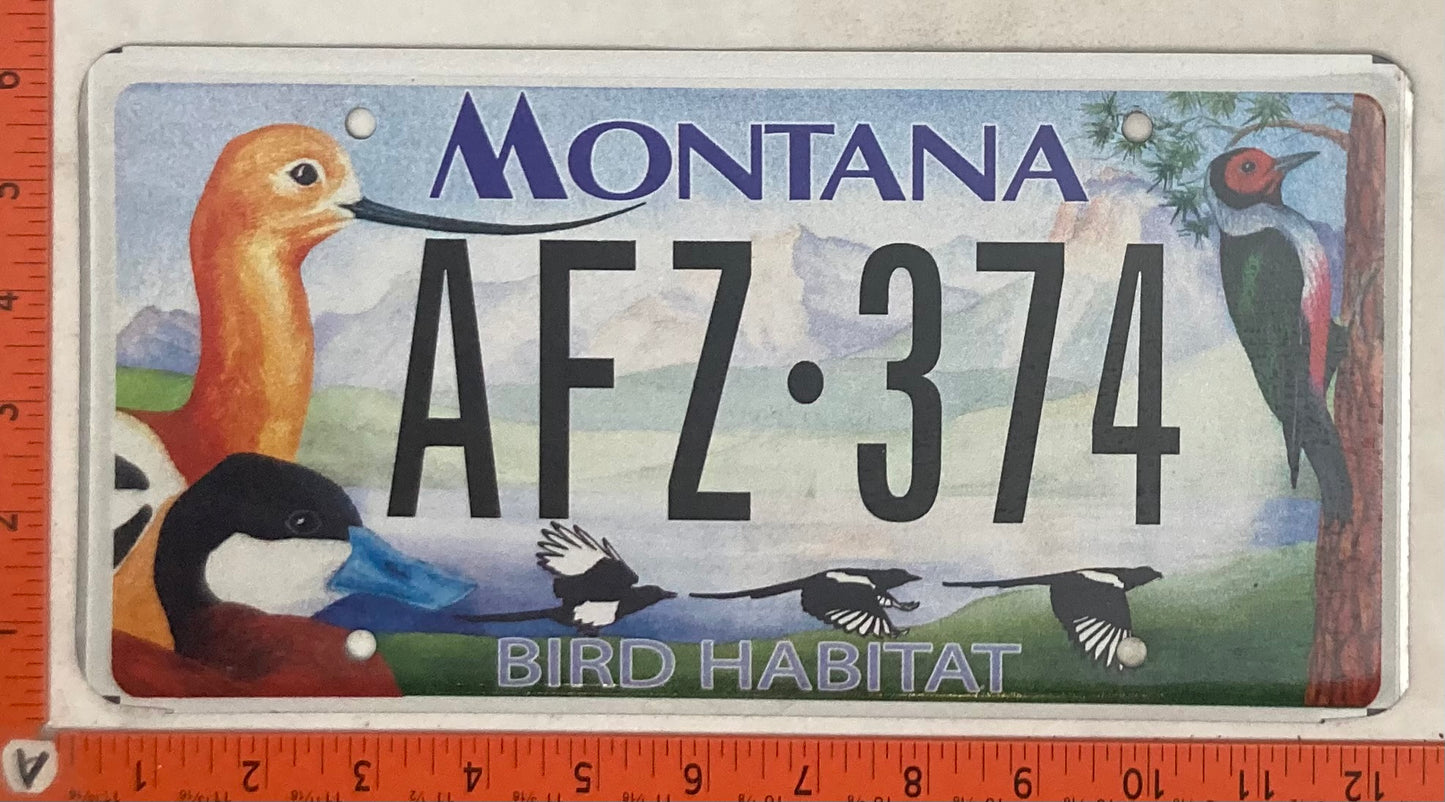 Undated Montana #AFZ-374 Passenger License Plate
