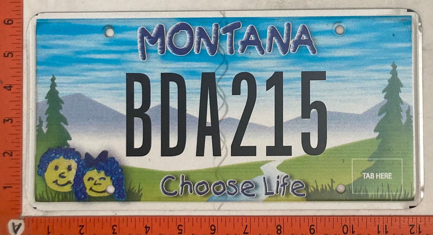 Undated Montana #BDA215 Passenger License Plate