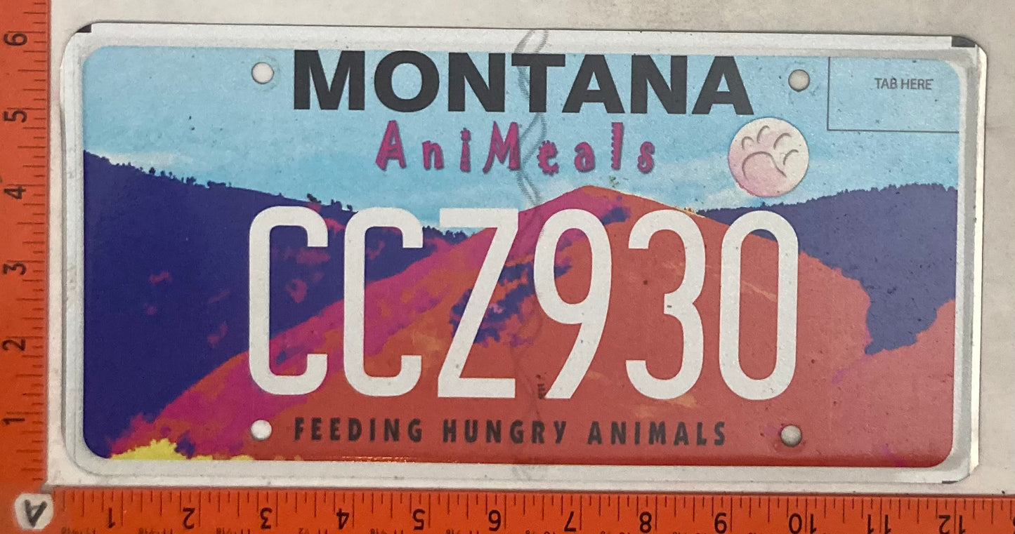 Undated Montana #CCZ930 Passenger License Plate