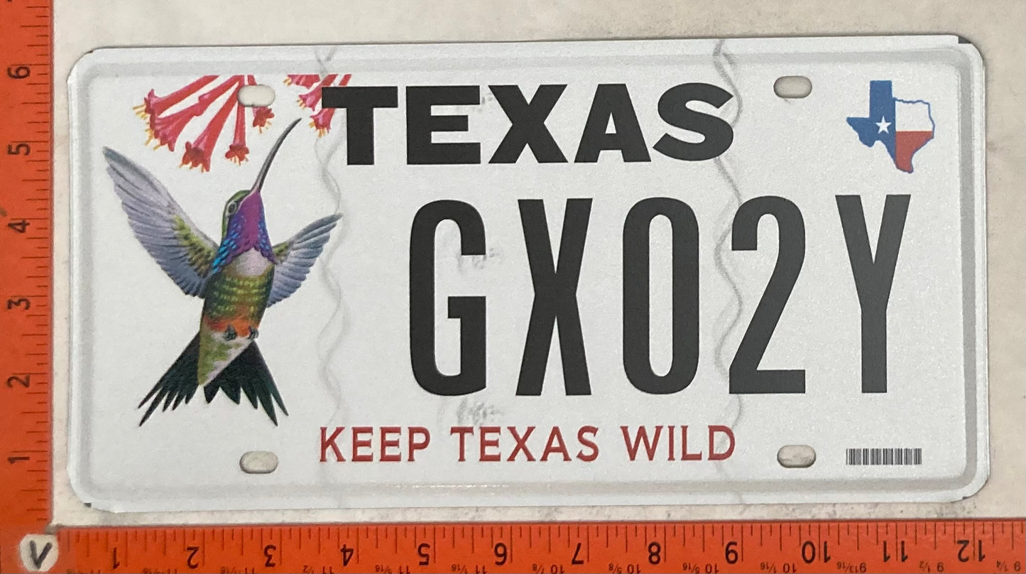 Undated Texas #GX02Y Passenger License Plate