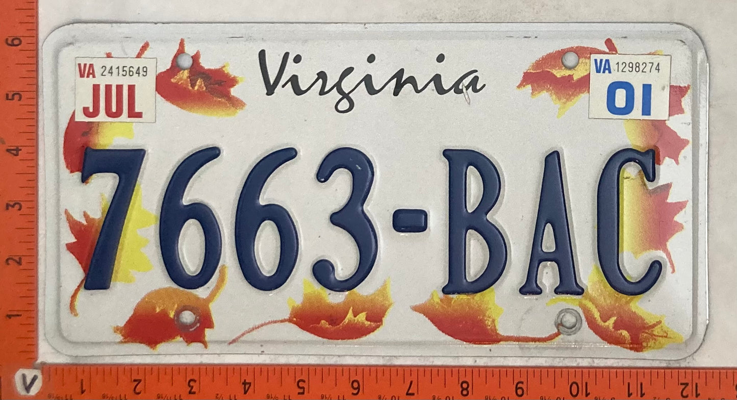 2001 Virginia #7663-BAC Passenger License Plate