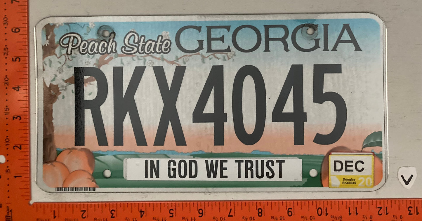 2020 Georgia #RKX4045 Passenger License Plate