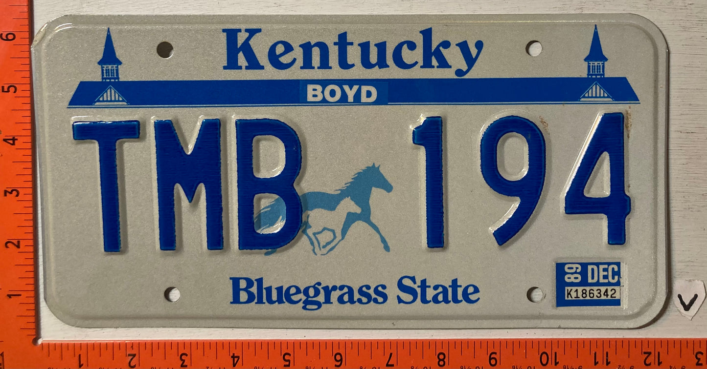 1989 Kentucky #TMB 194 Passenger License Plate