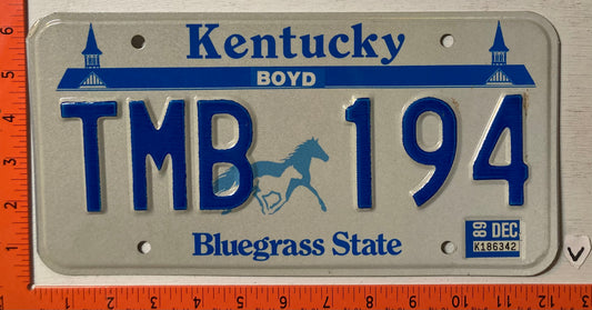 1989 Kentucky #TMB 194 Passenger License Plate