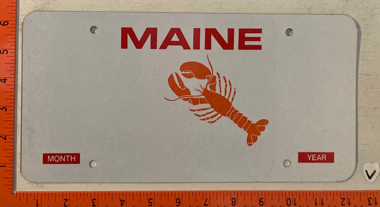 Undated Maine Blank Passenger License Plate