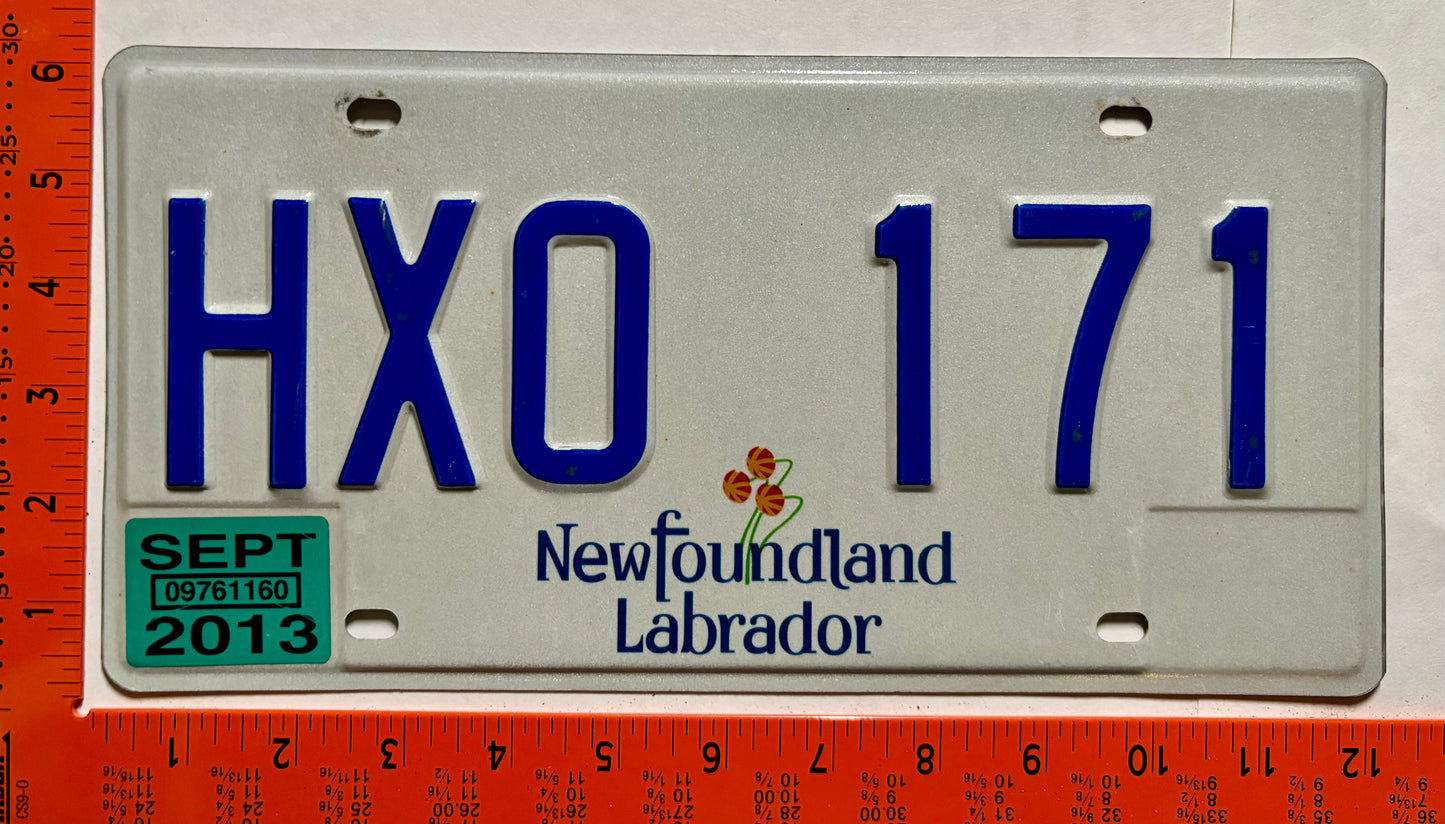 2013 Newfoundland #HXO 171 Passenger License Plate