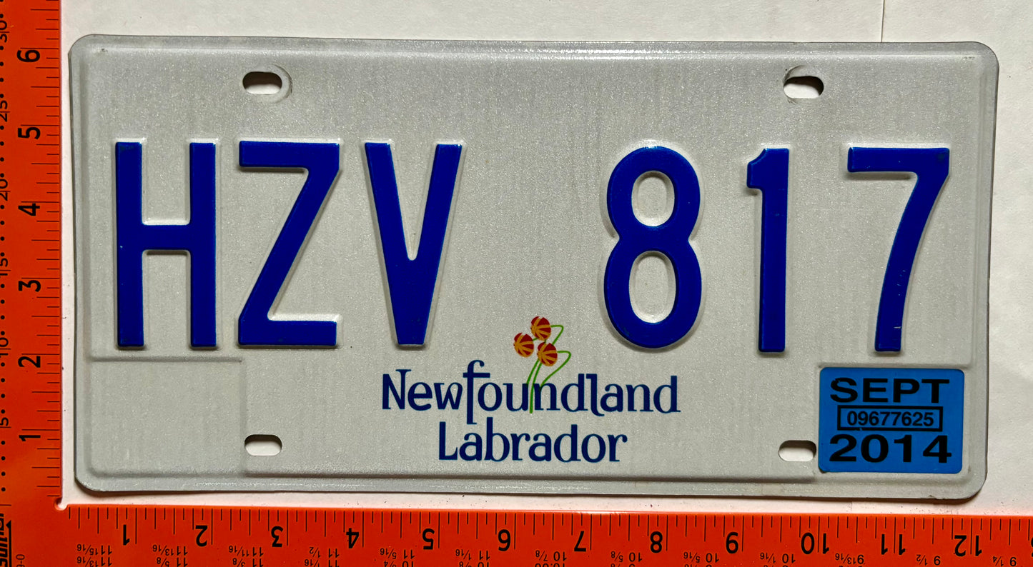 2014 Newfoundland #HZV 817 Passenger License Plate