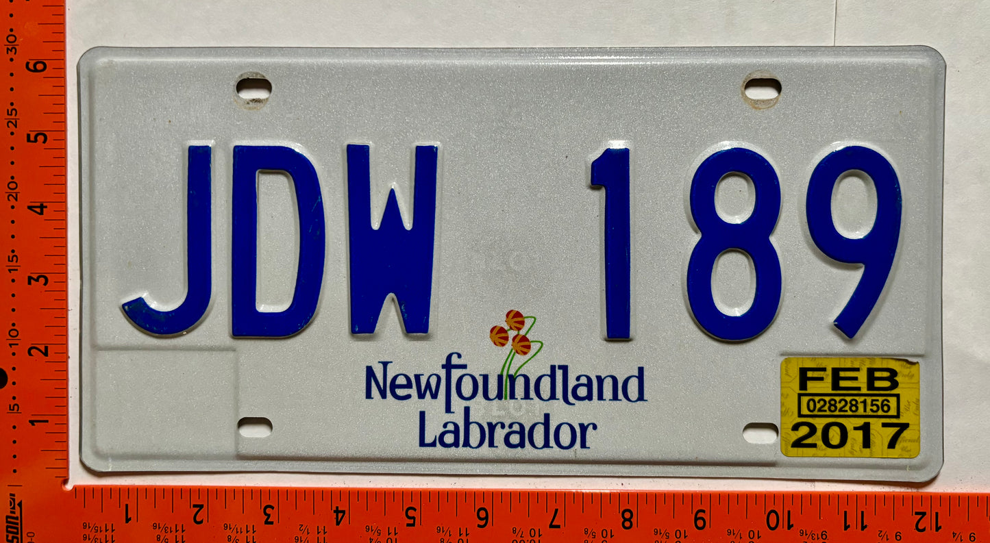 2017 Newfoundland #JDW 189 Passenger License Plate
