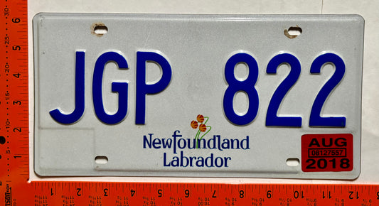 2018 Newfoundland #JGP 822 Passenger License Plate
