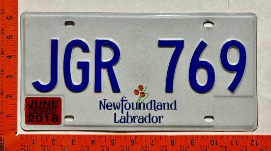2018 Newfoundland #JGR 769 Passenger License Plate