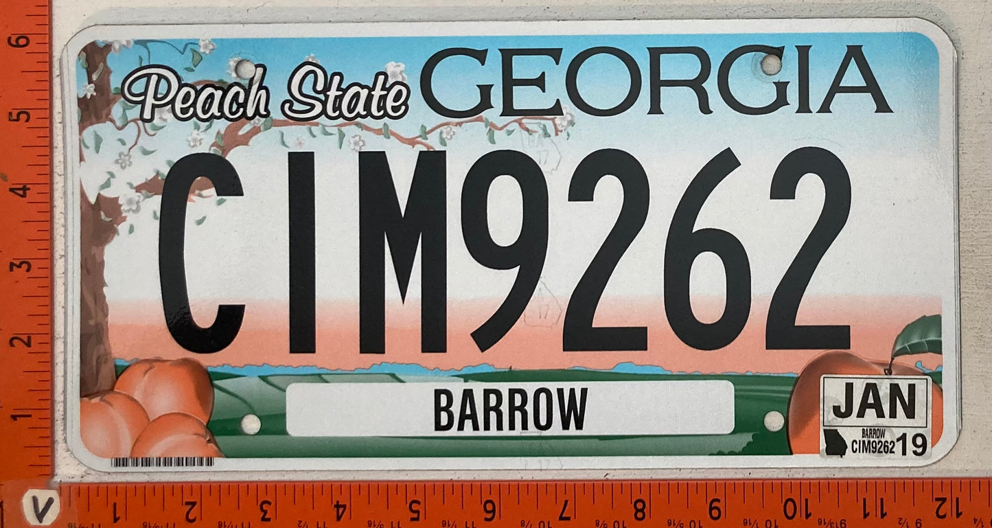 2019 Georgia #CIM9262 Passenger License Plate