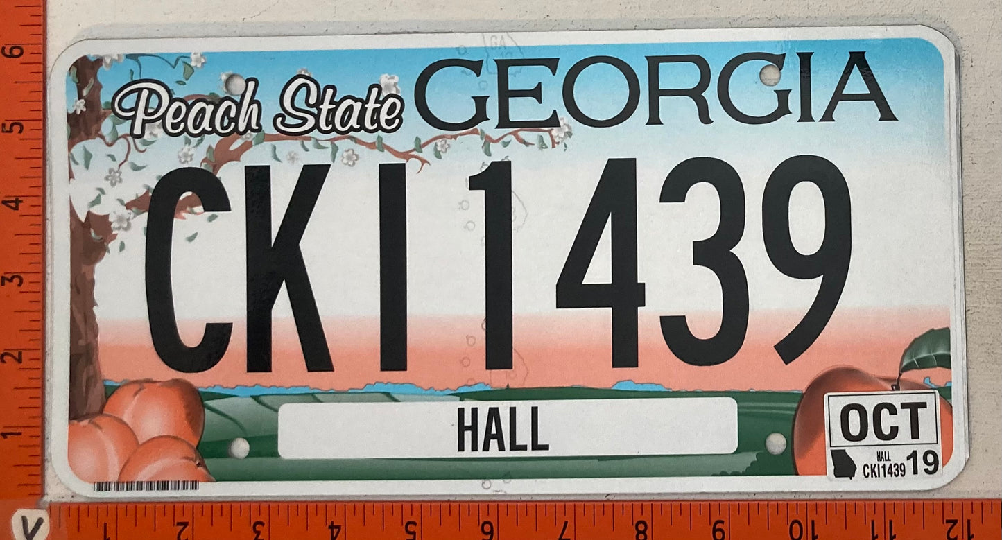 2019 Georgia #CKI1349 Passenger License Plate