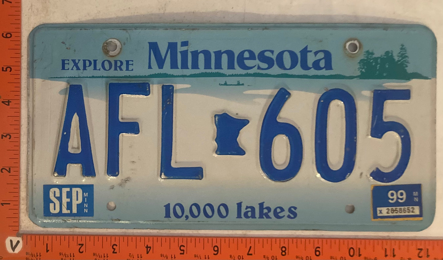 1999 Minnesota #AFL 605 Passenger License Plate