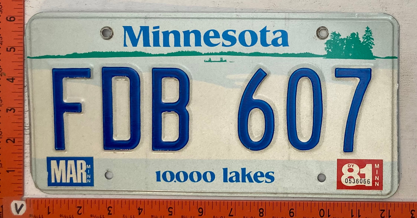 1981 Minnesota #FDB 607 Passenger License Plate