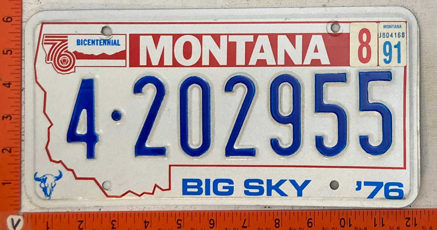 1991 Montana #4-202955 Passenger License Plate