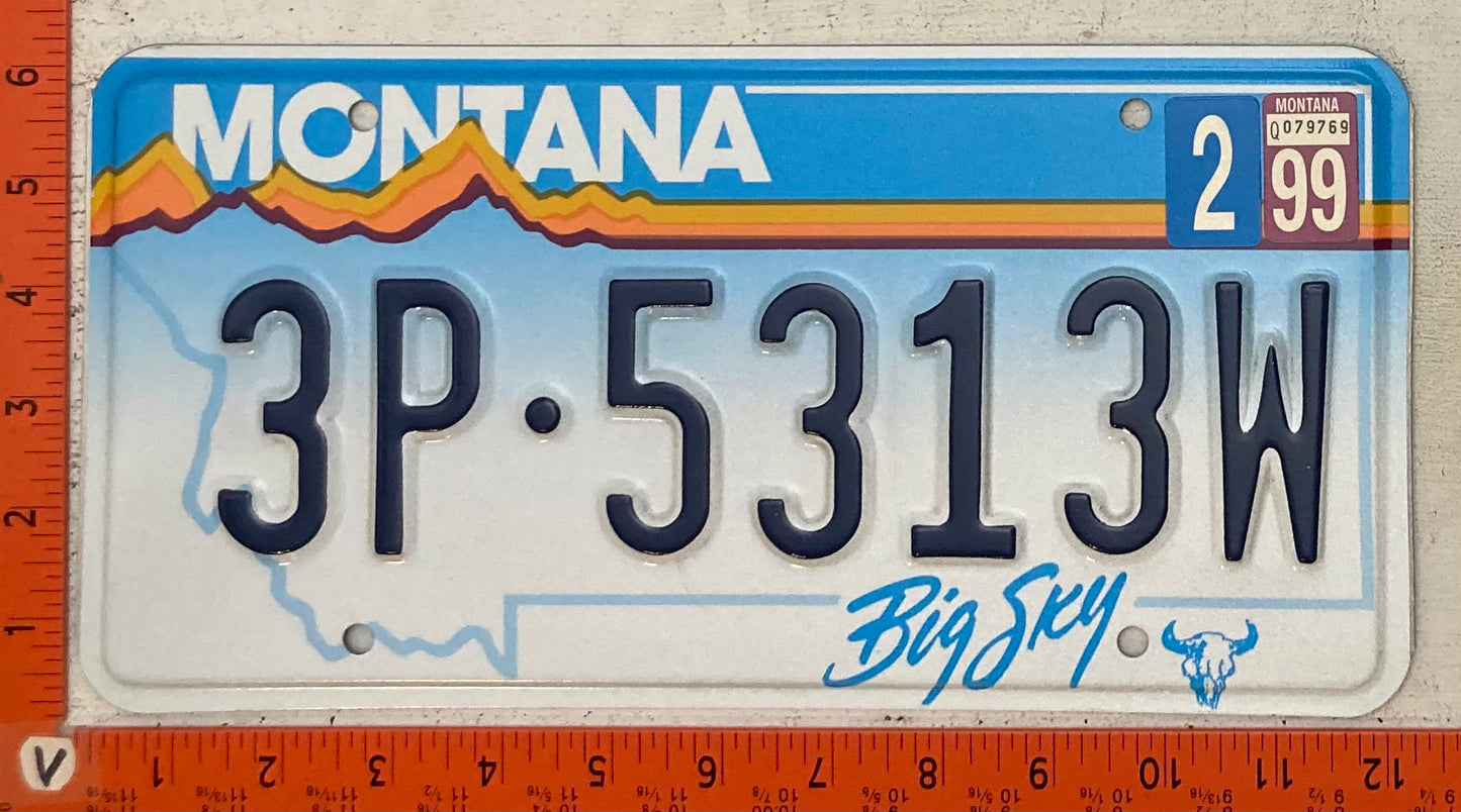 1999 Montana #3P-5313W Passenger License Plate
