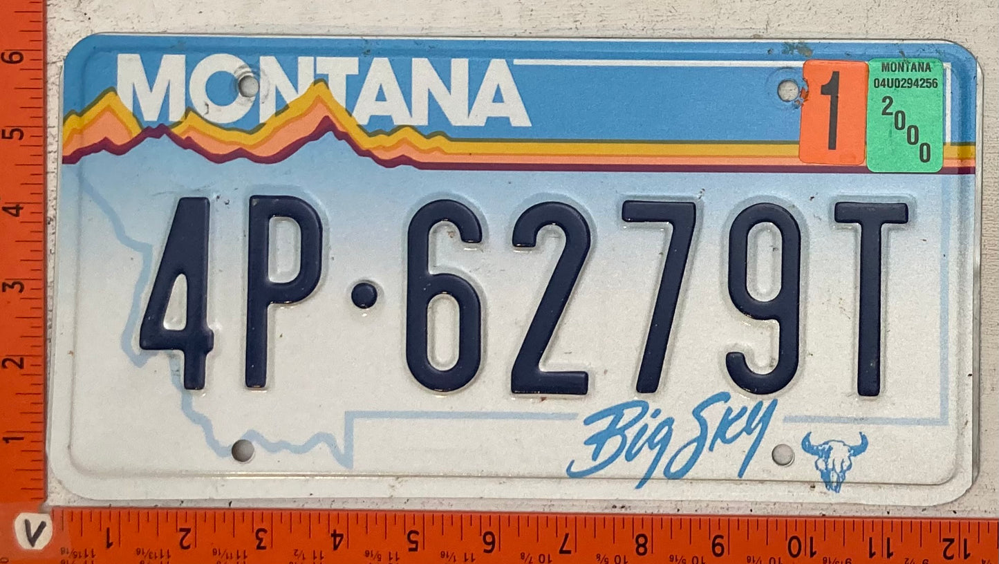 2000 Montana #4P-6279T Passenger License Plate