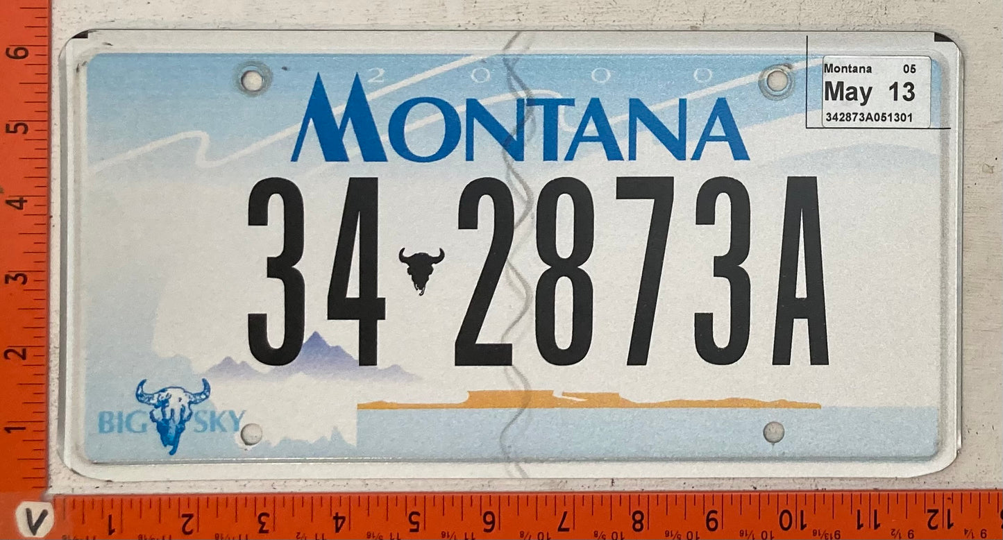 2013 Montana #34-2873A Passenger License Plate