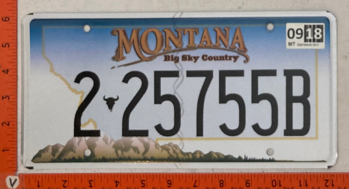 2018 Montana #2-25755B Passenger License Plate