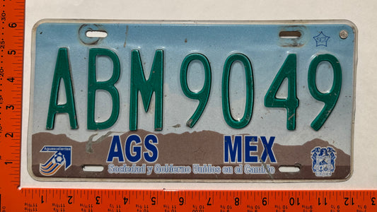 2002-2004 Aguascalientes, Mexico #ABM9049 Passenger License Plate