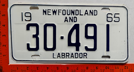 1965 Newfoundland #30-491 Passenger License Plate