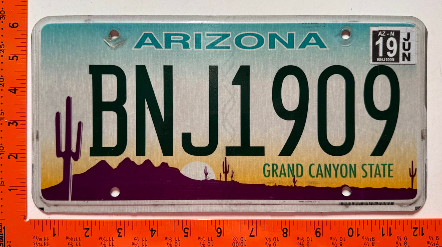 2019 Arizona #BNJ1909 Passenger License Plate