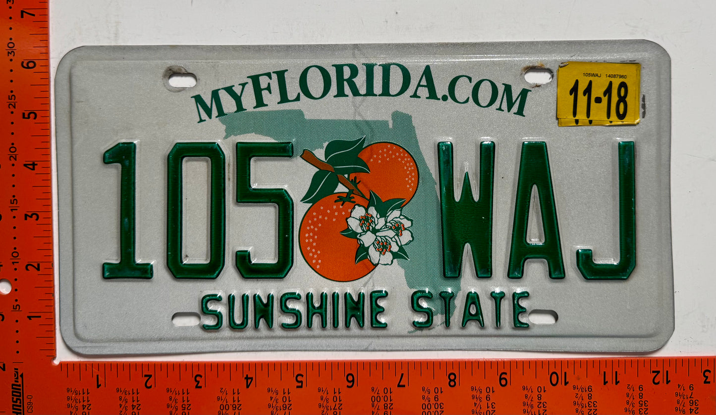 2018 Florida #105 WAJ Passenger License Plate