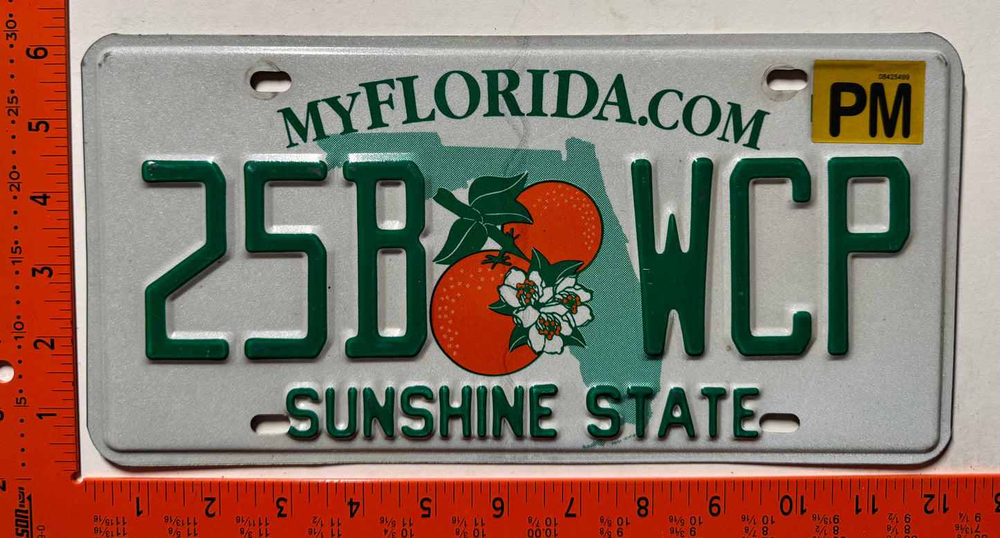 undated Florida #25B WCP Passenger License Plate
