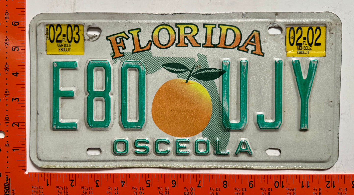 2002/2003 Florida #E80 UJY Passenger License Plate