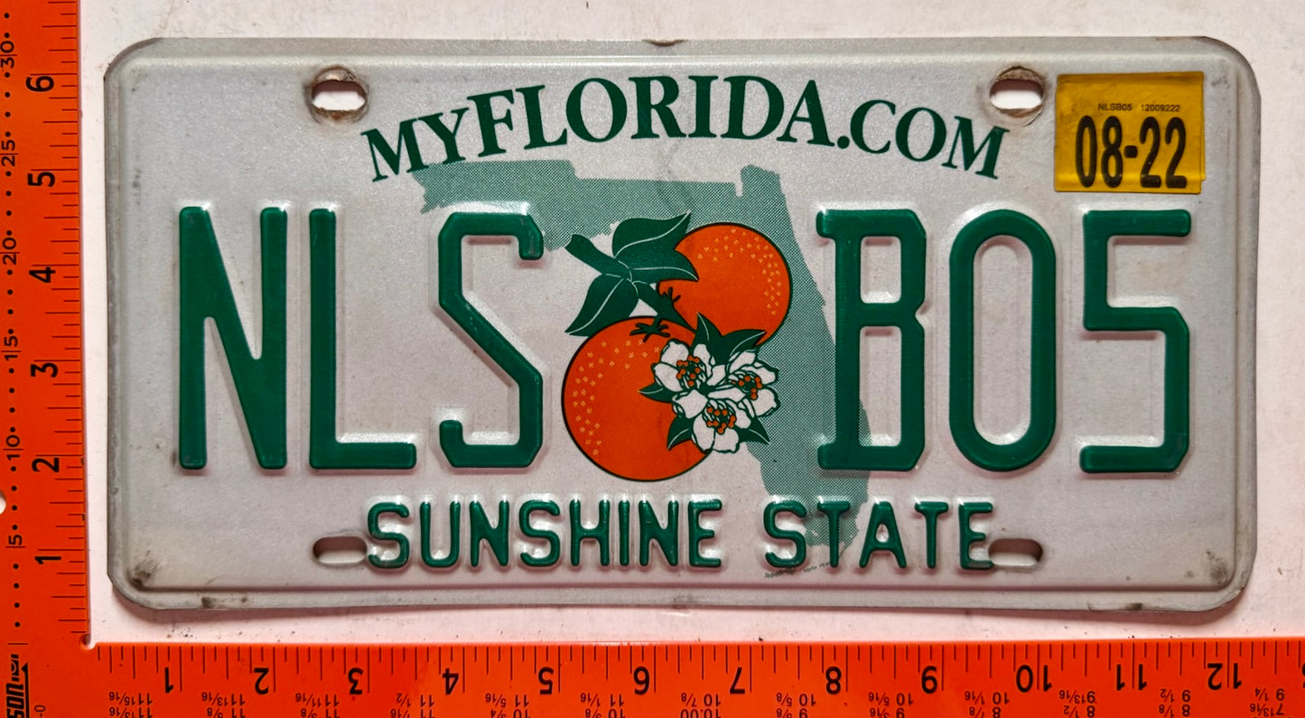 2022 Florida #NLS B05 Passenger License Plate