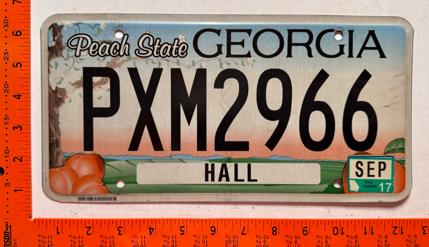 2017 Georgia #PXM2966 Passenger License Plate