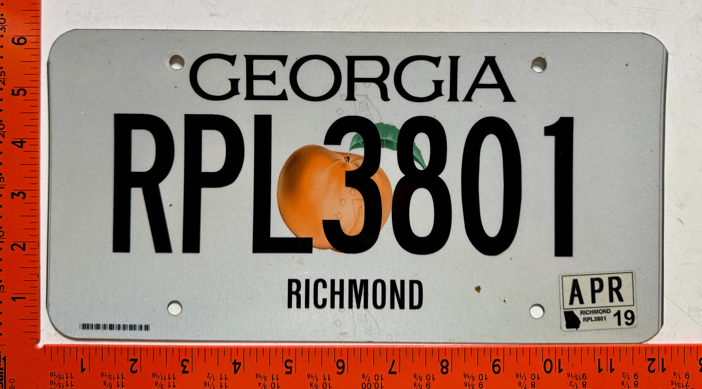 2019 Georgia #RPL3801 Passenger License Plate