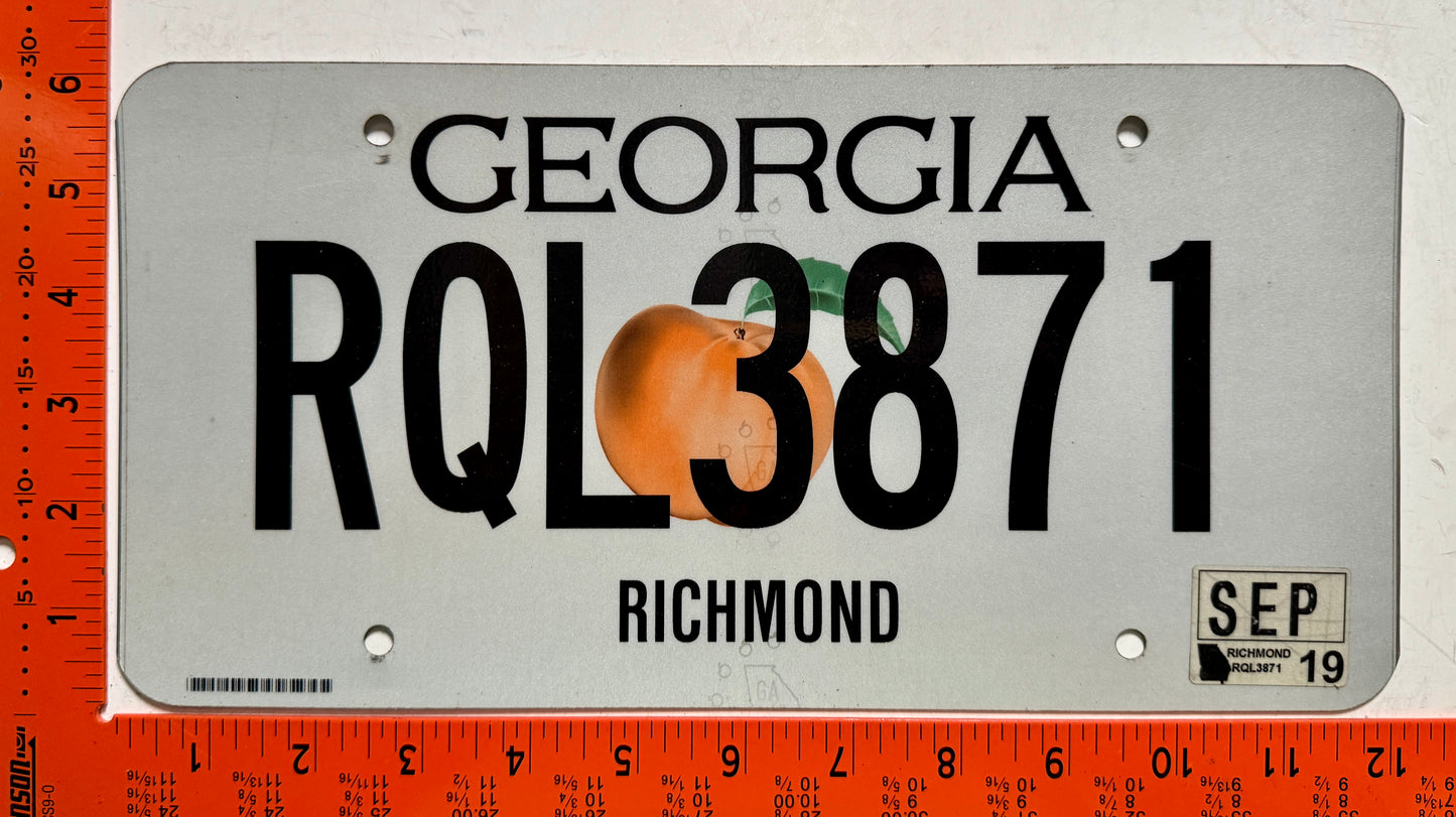 2019 Georgia #RQL3871 Passenger License Plate