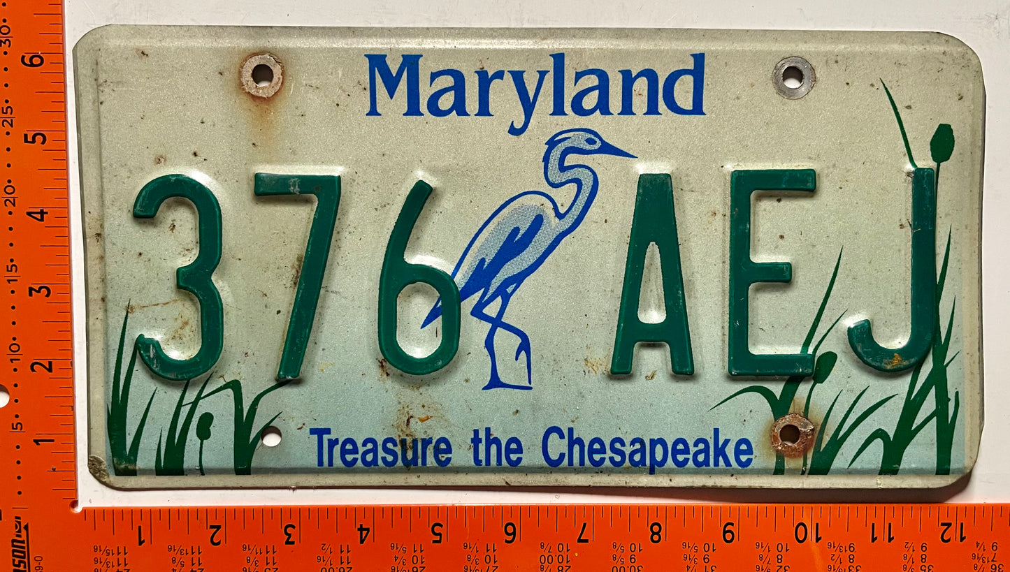 undated Maryland #376 AEJ Treasure the Chesapeake License Plate