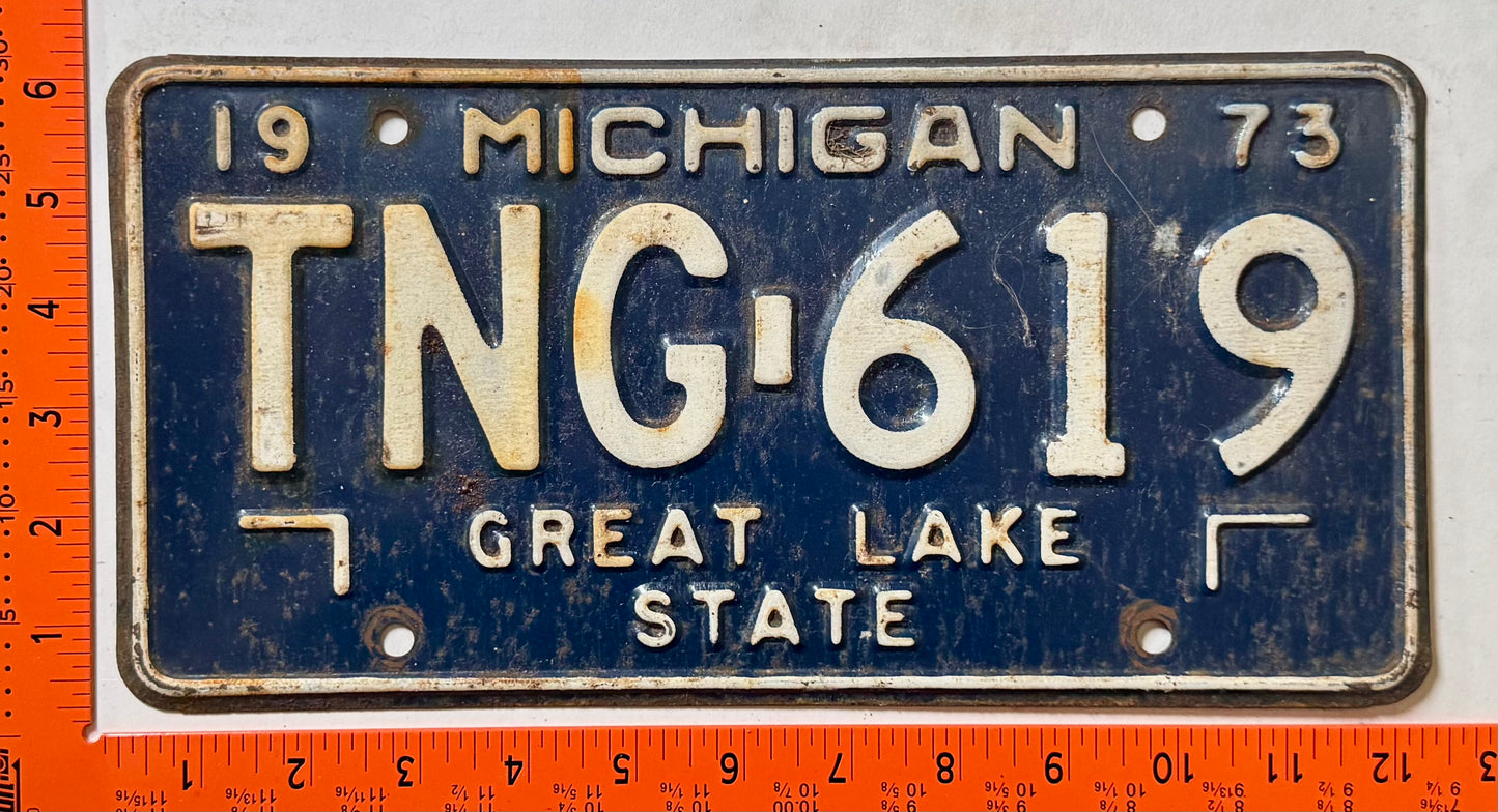 1973 Michigan #TNG-619 Passenger License Plate