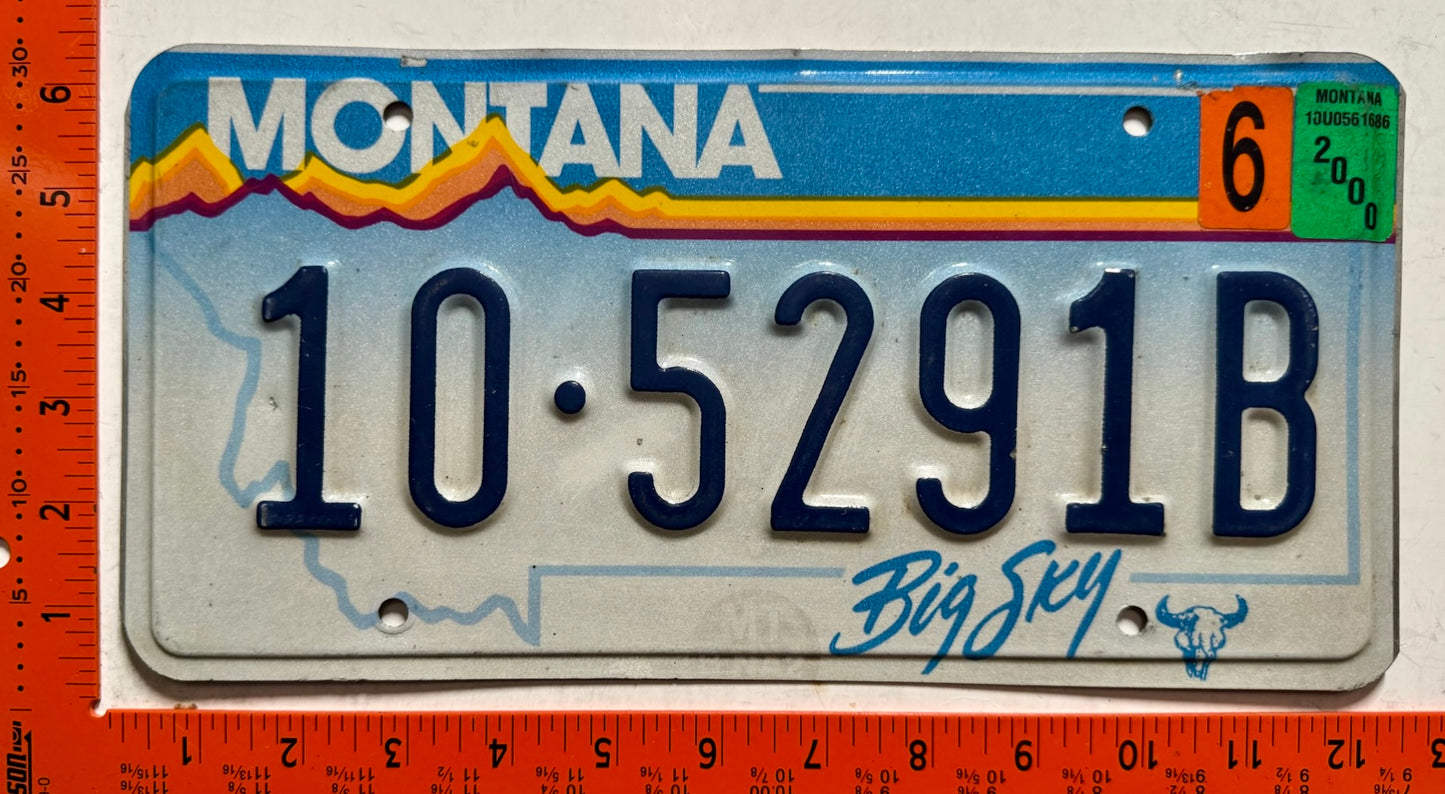 2000 Montana #10-5291B Passenger License Plate