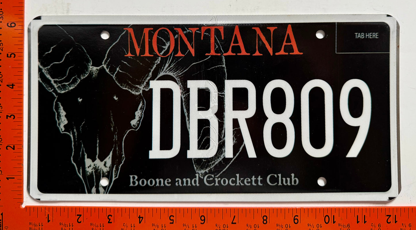 undated Montana #DBR809 Boone & Crockett Club License Plate