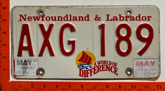 1999/2000 Newfoundland #AXG 189 Passenger License Plate