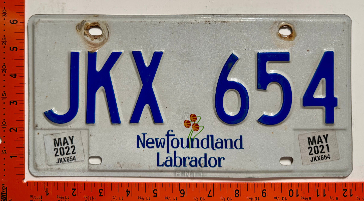 2021/2022 Newfoundland #JKX 654 Passenger License Plate