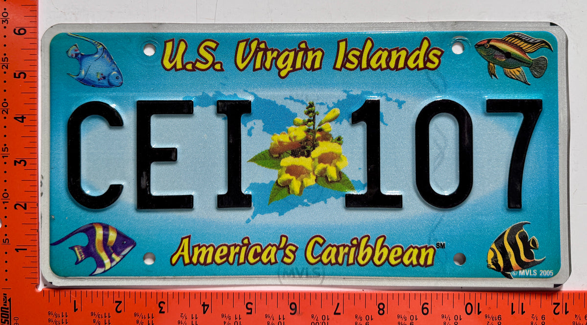 2006 base Virgin Islands #CEI 107 Passenger License Plate