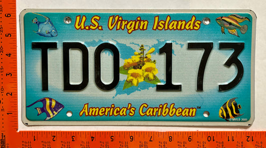 2006 base Virgin Islands #TDO 173 Passenger License Plate
