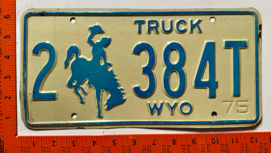 1975 Wyoming #2 384T Truck License Plate