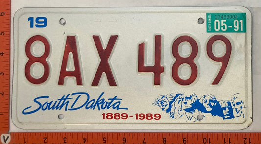 1991 South Dakota #8AX 489 Passenger License Plate
