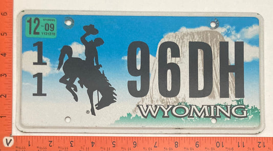 2009 Wyoming #1/1  96DH Passenger License Plate